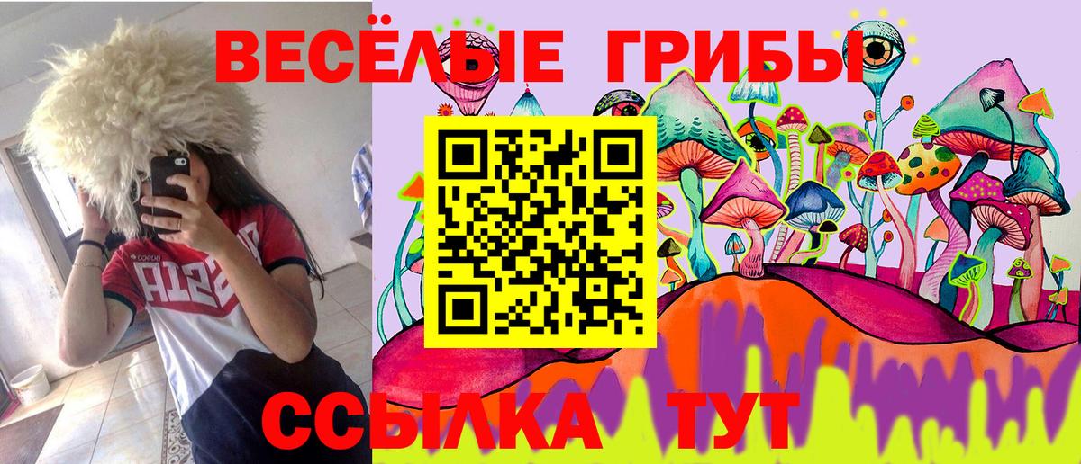 Железноводск  Псилоцибиновые грибы прущие грибы  Вход с VPN 