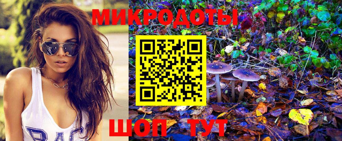 Галлюциногенные грибы Psilocybine cubensis Железноводск
